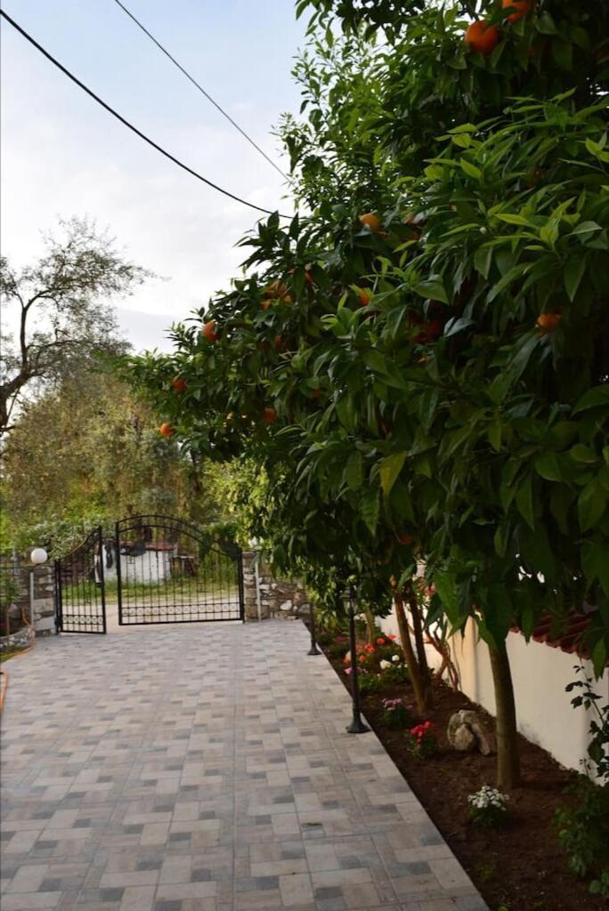 Appartamento Tsafas Αpartments Limenas  Esterno foto