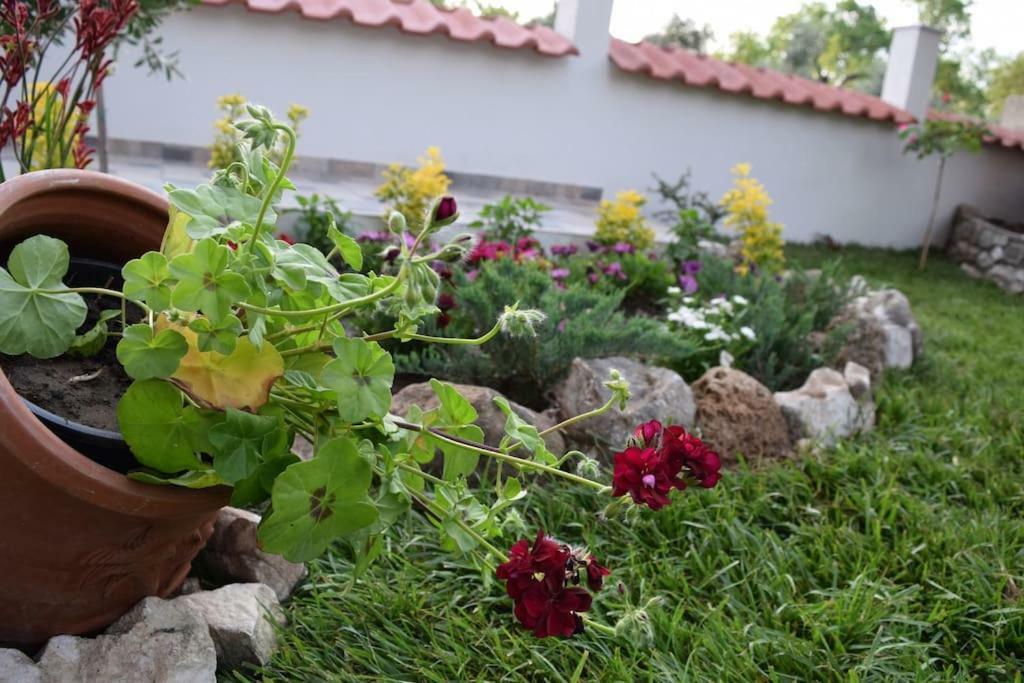 Appartamento Tsafas Αpartments Limenas  Esterno foto